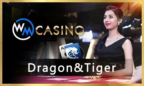 New Slot Game Release 2026